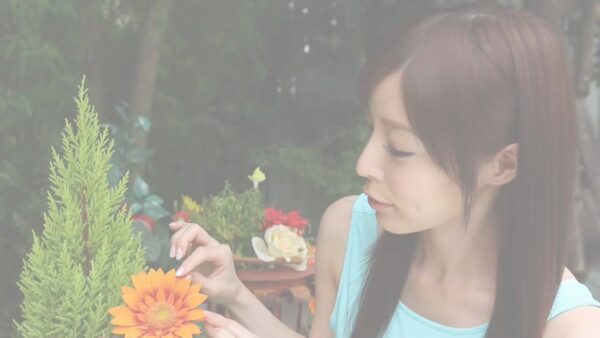 We love #Japanese #actress and #jav #supermodel Aya Sakurai! JGirl Yummy Aya Sakurai: #gravure DVD…
